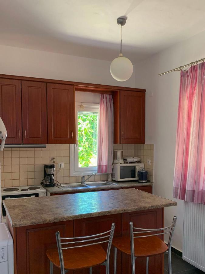 Appartamento Aegli Vassiliki Esterno foto
